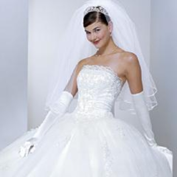 David's Bridal Dresses & Skirts - Beautiful Wedding Dress #1